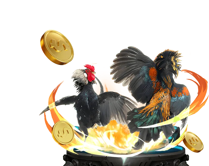 Tổng quan sàn đá gà trực tiếp hôm nay